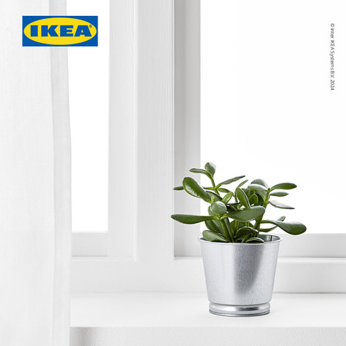 IKEA BINTJE Pot Tanaman Galvanis 9 cm