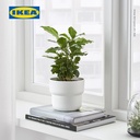 IKEA FORENLIG Pot Tanaman Putih 12 cm