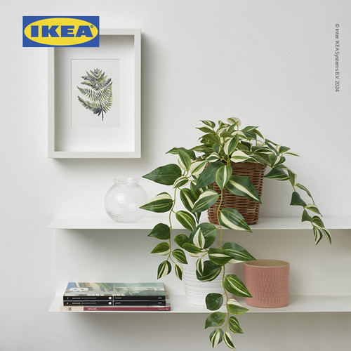 IKEA FEJKA Tanaman Hias Tradescantia Zebrina dengan Pot 12 cm