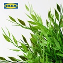 IKEA FEJKA Tanaman Hias Bambu Keberuntungan dengan Pot 9 cm