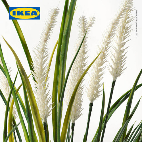 IKEA FEJKA Tanaman Hias Rumput dengan Pot 9 cm