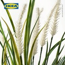 IKEA FEJKA Tanaman Hias Rumput dengan Pot 9 cm