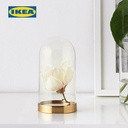 IKEA BEGAVNING Vas Hiasan Meja dari Kaca 19cm