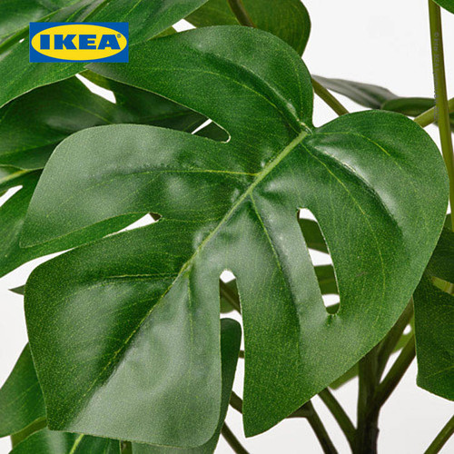 IKEA FEJKA Tanaman Hias Monstera dengan Pot 12 cm