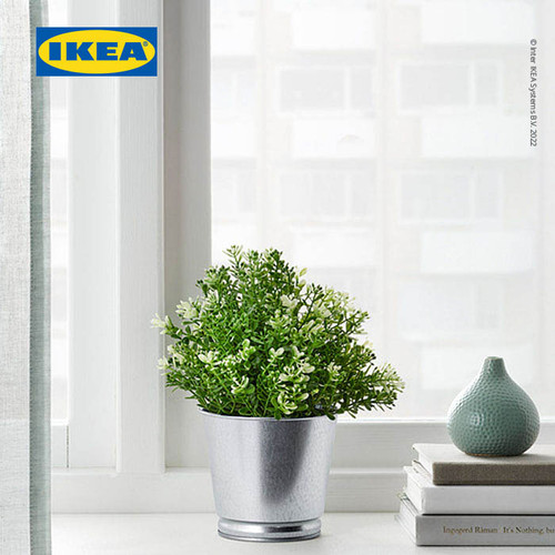 IKEA FEJKA Tanaman Hias Timi dengan Pot 9 cm