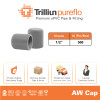 Fitting Pipa uPVC Trilliunpureflo AW Cap 1/2"