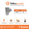 Fitting Pipa uPVC Trilliunpureflo D Y-Branch 4" x 3" Inch