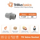 Fitting Pipa uPVC Trilliunbasics TS Valve Socket - 1" x 3/4" Inch