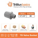 Fitting Pipa uPVC Trilliunbasics TS Valve Socket - 1/2" x 3/4" Inch