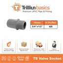 Fitting Pipa uPVC Trilliunbasics TS Valve Socket - 3/4" x 1/2" Inch