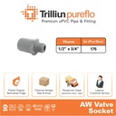 Fitting Pipa uPVC Trilliunpureflo AW Valve Socket 1/2" x 3/4" Inch