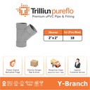 Fitting Pipa uPVC Trilliunpureflo D Y-Branch 2" x 2" Inch