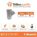 Fitting Pipa uPVC Trilliunpureflo D Y-Branch 3" x 2" Inch