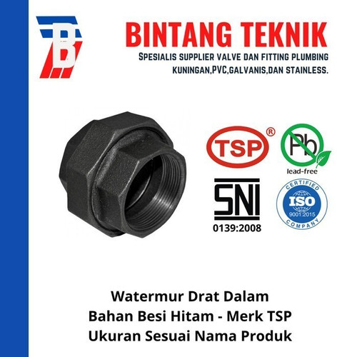 Watermur 2" inch Besi Hitam TSP