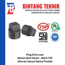 Plug 1/2" inch Besi Hitam TSP