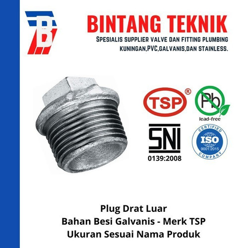 Plug 2" inch Besi Galvanis TSP