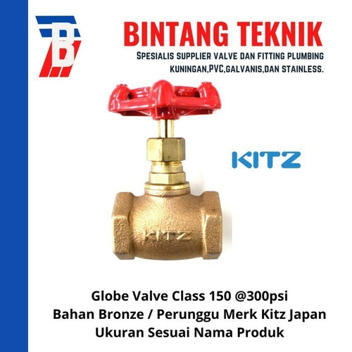 Globe Valve 2 1/2" inch Bronze Kitz Class #150