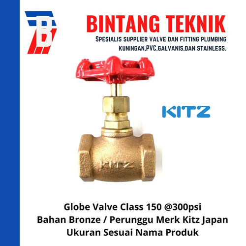 Globe Valve 1" inch Bronze Kitz Class #150