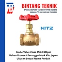 Globe Valve 3/4" inch Bronze Kitz Class #150