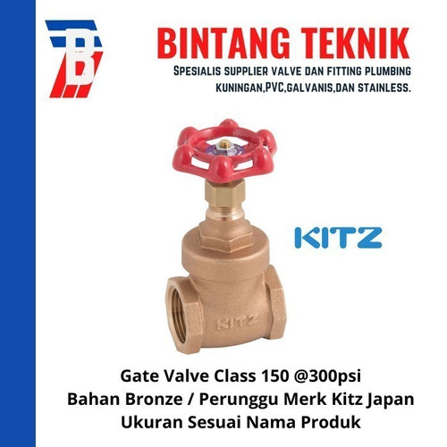 Gate Valve 3" inch Bronze Kitz Class #150