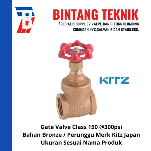 Gate Valve 1" inch Bronze Kitz Class #150