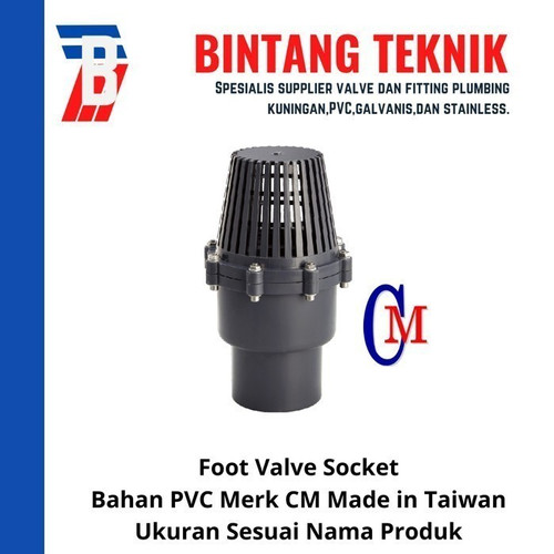 Foot Valve PVC 3" inch CM Socket