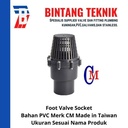 Foot Valve PVC 3" inch CM Socket