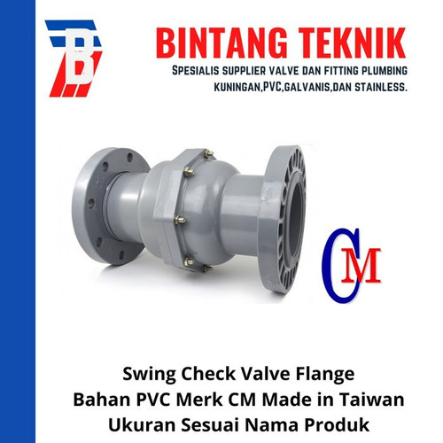 Swing Check Valve PVC 6" inch CM - Flange