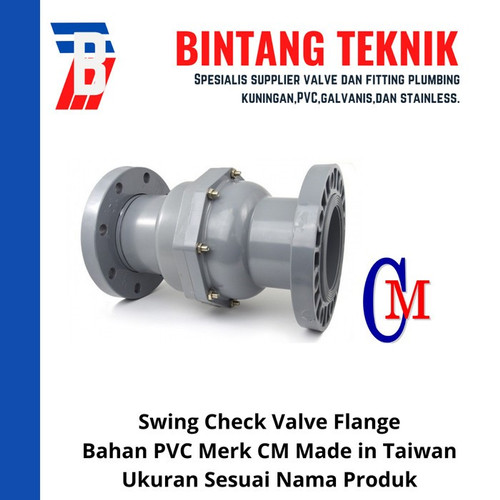 Swing Check Valve PVC 4" inch CM - Flange