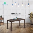 (CARGO) Olymplast ODT R 120 Meja Makan Plastik Dining Dine Table Rotan