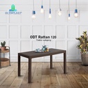 Olymplast ODT R 120 Meja Makan Plastik Dining Dine Table Rotan Rattan