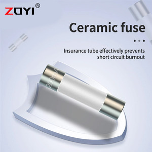 ZOYI Fuse Keramik Fuse For Multimeter Instrument 200mA 5mm x 20mm 250V