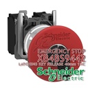 Emergency Stop Besi Schneider Tipe Latching Key Release XB4BS9442