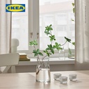 IKEA TIDVATTEN Vas Bunga Kaca Dekorasi Meja 17cm