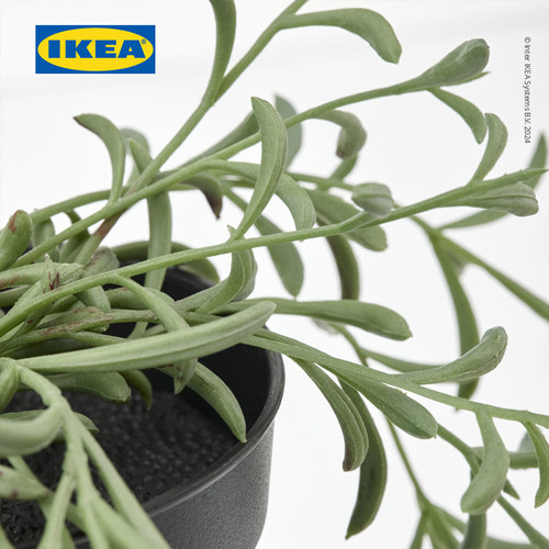 IKEA FEJKA Tanaman Hias Palsu String of Bananas dengan Pot 9cm