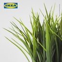 IKEA FEJKA Tanaman Hias Rumput Pendek dengan Pot 9 cm