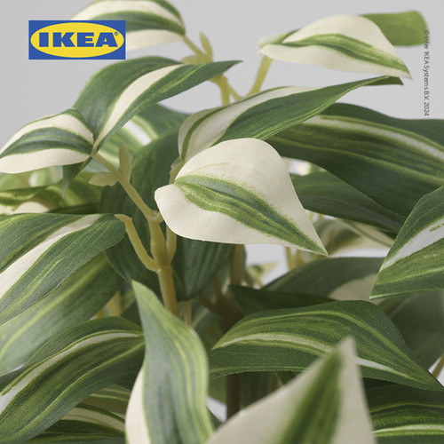 IKEA FEJKA Tanaman Hias Tradescantia Zebrina dengan Pot 12 cm