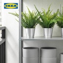 IKEA FEJKA Tanaman Hias Pakis dengan Pot 9 cm