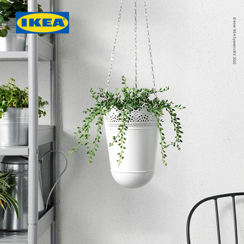 IKEA FEJKA Tanaman Hias String of Beads dengan Pot 9 cm