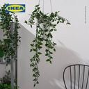 IKEA FEJKA Tanaman Hias Gantung dengan Pot 9 cm