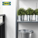 IKEA FEJKA Tanaman Hias Rosemary dengan Pot 9 cm