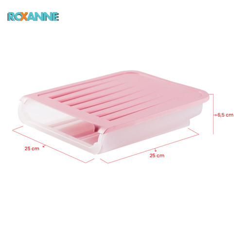 Kontainer Plastik Roxanne RX-202 / Container Tempat telor