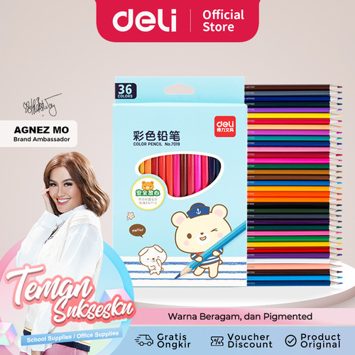 Deli pensil warna 36C warna cerah, bentuk hexagonal 7019