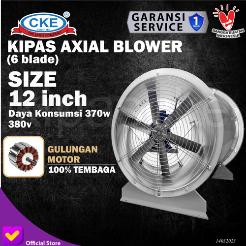 Axial Fan CKE AXD-300/6/0.37/4-WO 12 Inch