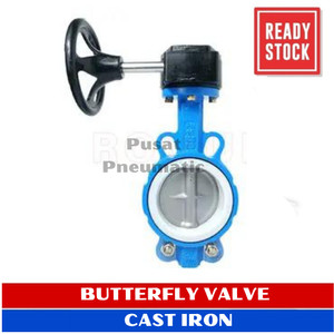 5" Butterfly Valve Cast Iron Seat PTFE Disc SS 304 Worm Gear 5 Inch