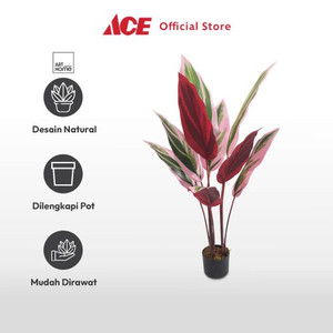 Ace Arthome 120 Tanaman Artifisial Stromanthe Thalia - Pink