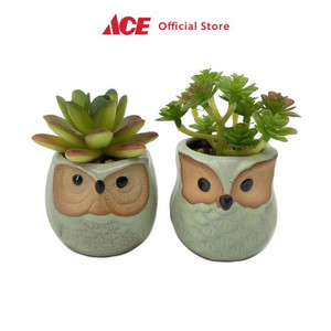 Ace Arthome Tanaman Artifisial Sukulen Owl Pair