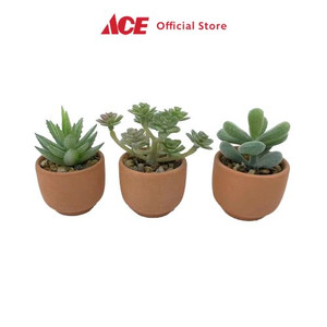 Ace Arthome Set Tanaman Artifisial Sukulen Mini Cup