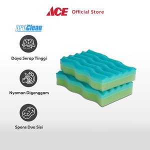 Ace Proclean Set 2 Pcs Spons Sanding