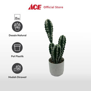 Ace Arthome 37 Cm Tanaman Artifisial Cactus Epe